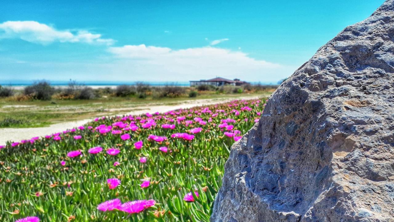 Atico Pinar De Garrucha Con Vistas Al Mar-Gran Terraza公寓 外观 照片